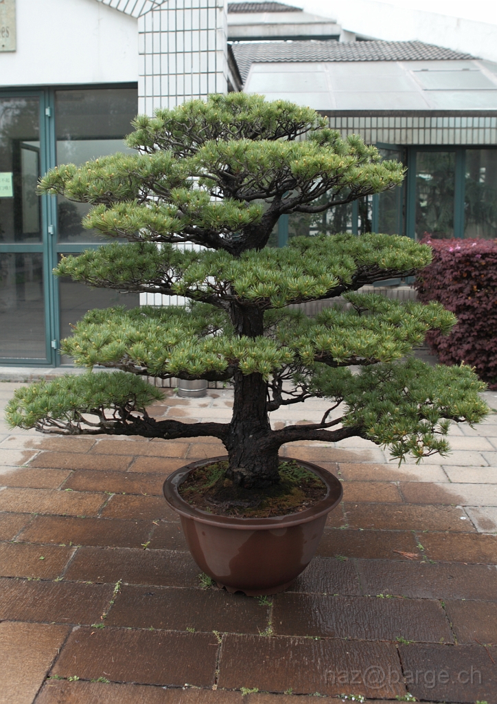 EOS 5D Mark II16_04_20135078.JPG